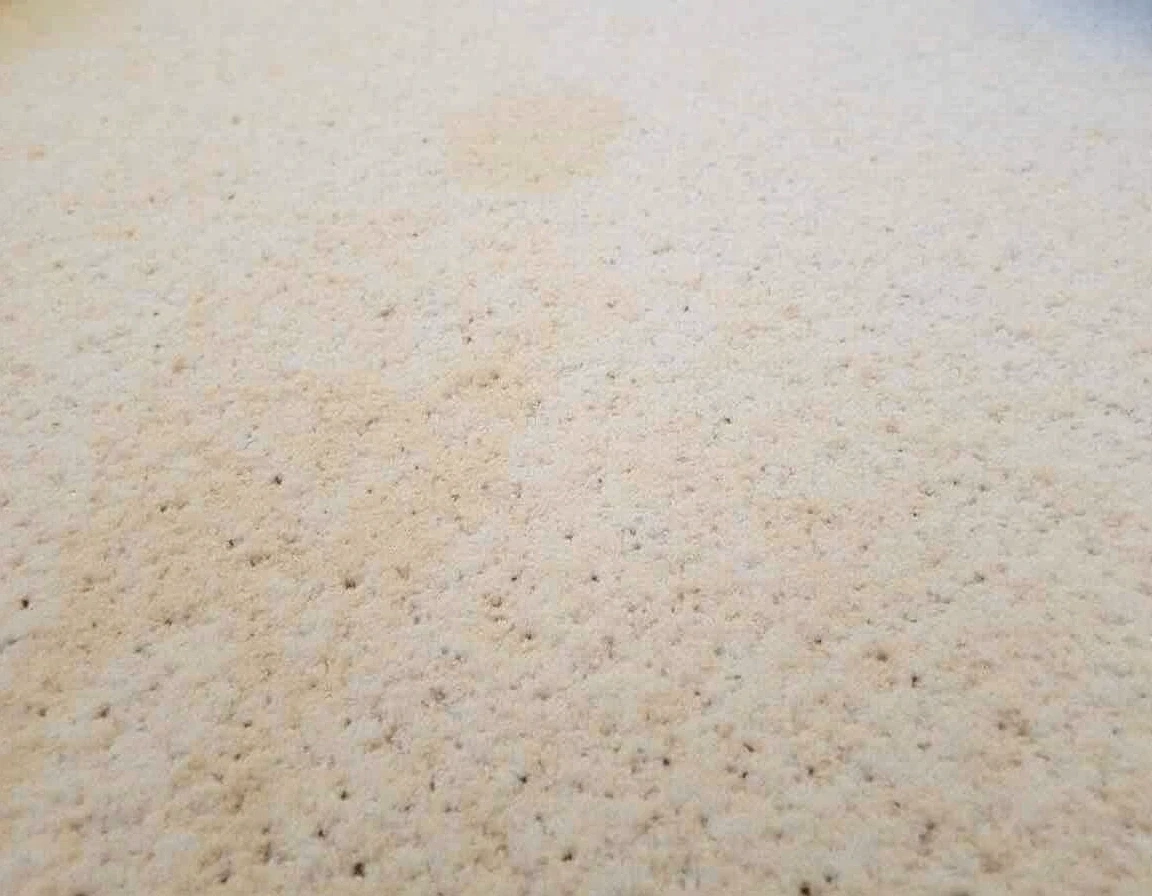 Carpet after cleaning